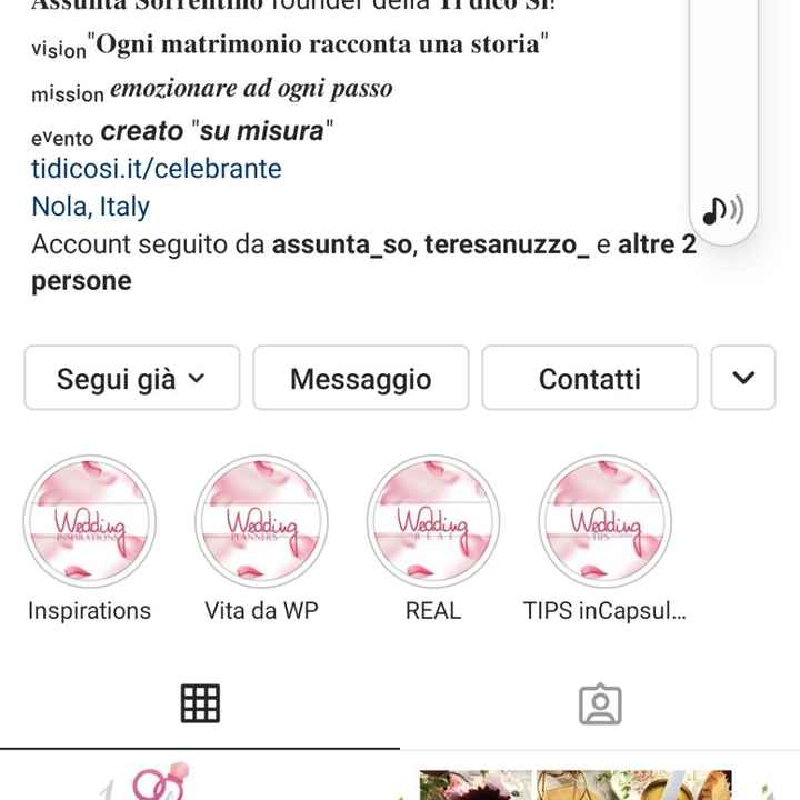 Help Wedding Planner - 1