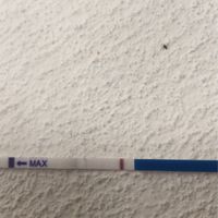 Chi non le aspetta per settembre 2021 - 2