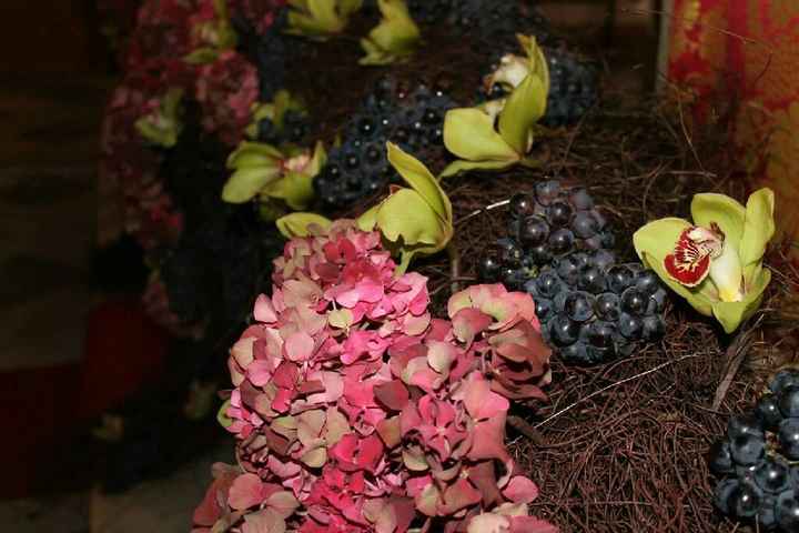 Matrimonio tema vino 🍷 - 1