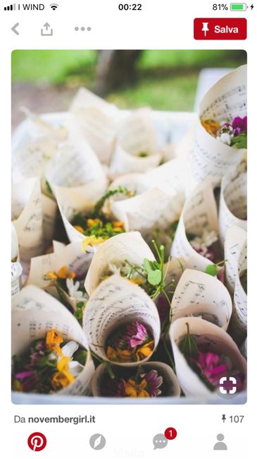  Vietato gettare il riso!! Alternative?? Sposine help me!! - 1