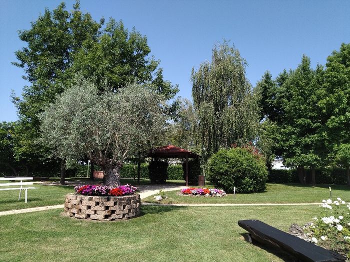 Sposi che celebreranno le nozze il 18 Settembre 2021 - Cuneo - 4