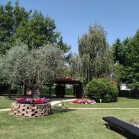 Sposi che celebreranno le nozze il 18 Settembre 2021 - Cuneo - 4