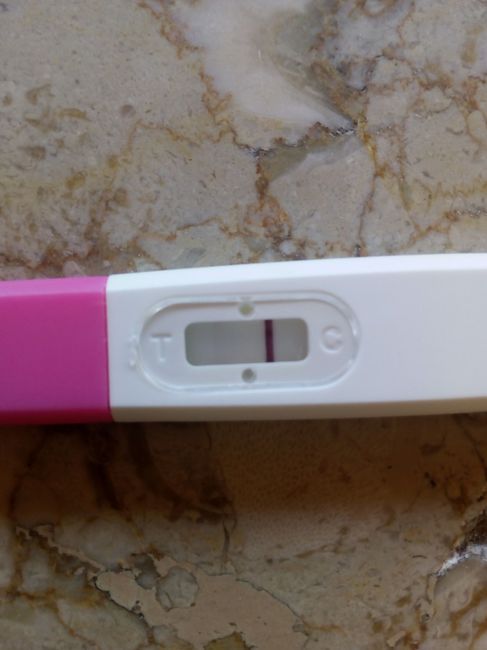 test mi.sembrava negativo ce.una.seconda.linea.rosa ma.lieve.