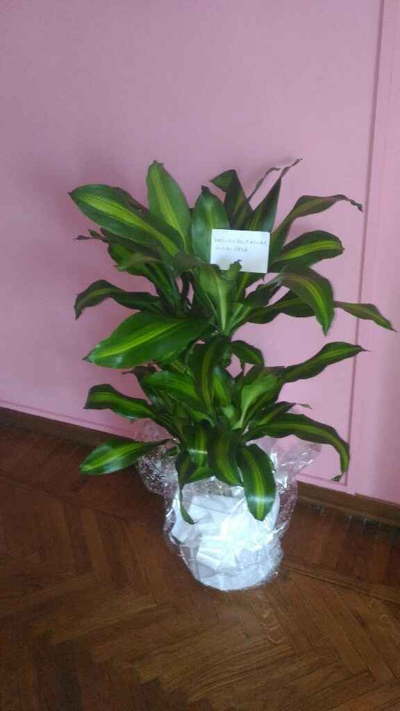 Il mio giorno più bello... - 2