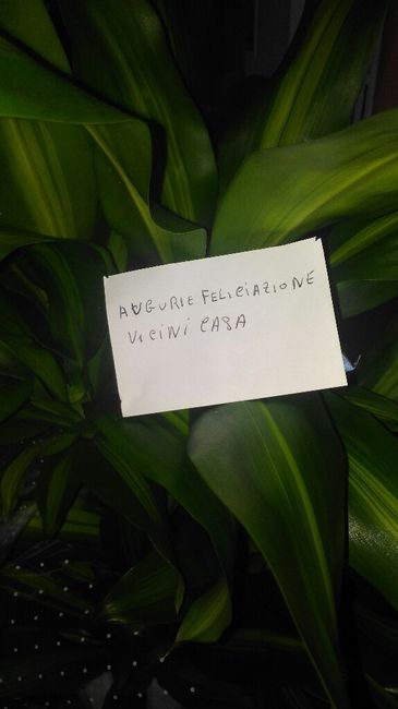 Il mio giorno più bello... - 1