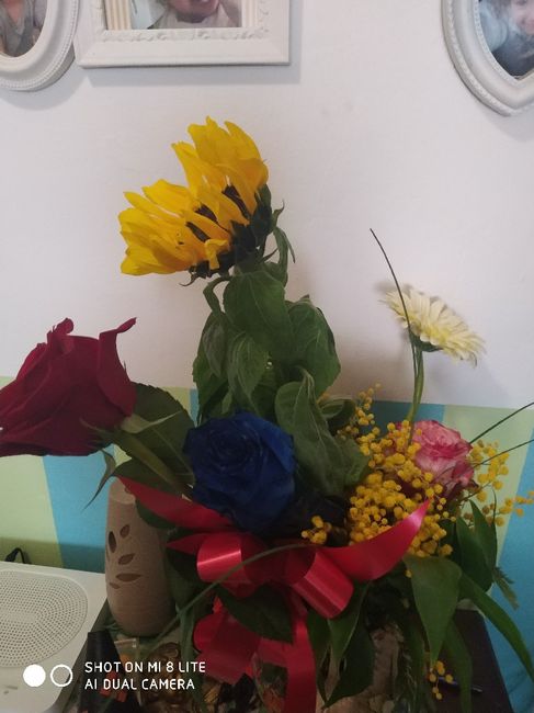 Mostratemi le Mimose! - 1