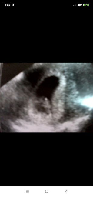 Due domandine 😜 - 2