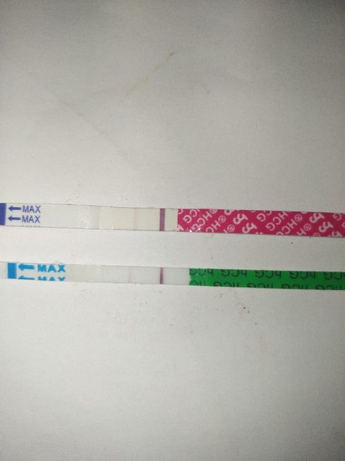 💝🎄🎉🎅🎁chi non le aspetta per dicembre 2019🎅🎁🎉🎄 - 1