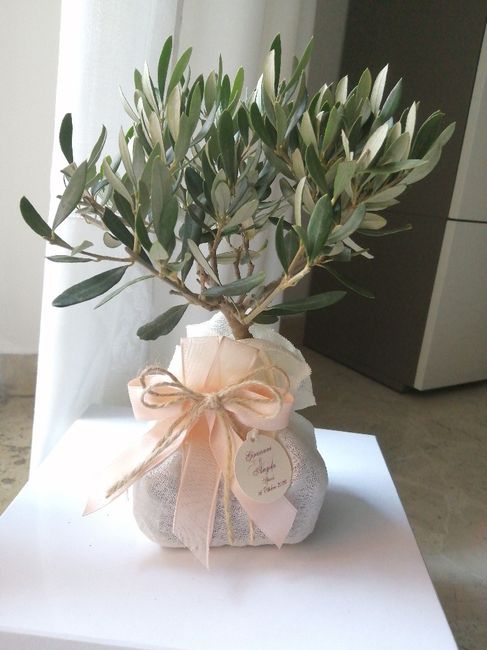 Piccolo terrario come bomboniera 2