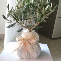 Piccolo terrario come bomboniera - 1