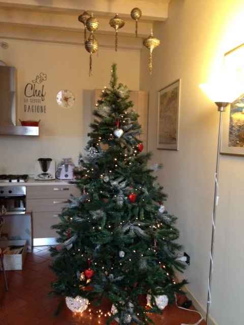 albero 2014