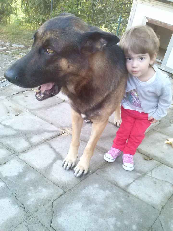 I nostri animaletti pelosi. - 1