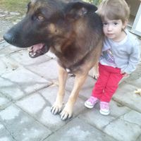 Bimbi e animali!  - 1