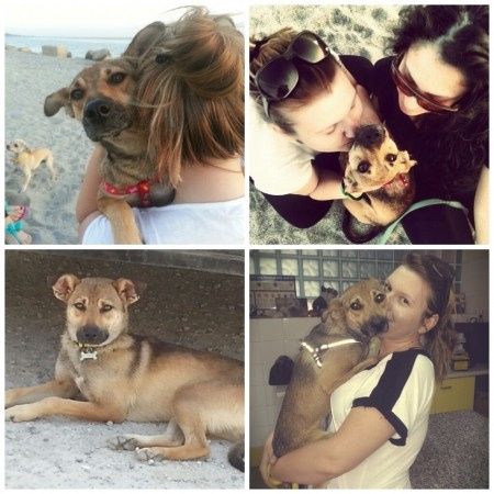 Raccolta di foto con i nostri animali - 1