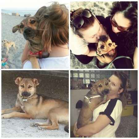 Raccolta di foto con i nostri animali - 1