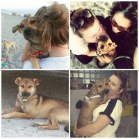 Raccolta di foto con i nostri animali - 1