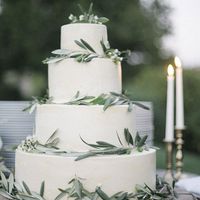  Tema matrimonio ulivo - 2