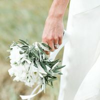  Tema matrimonio ulivo - 3