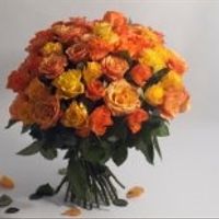 Bouquet colori del sole