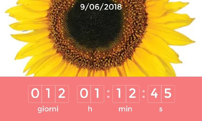 Quanti giorni mancano al grande giorno? - 1