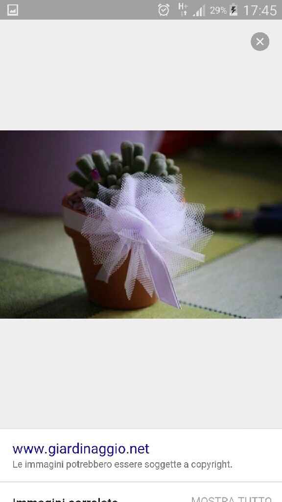 Piantine grasse come bomboniere...cosa ne pensate? - 1