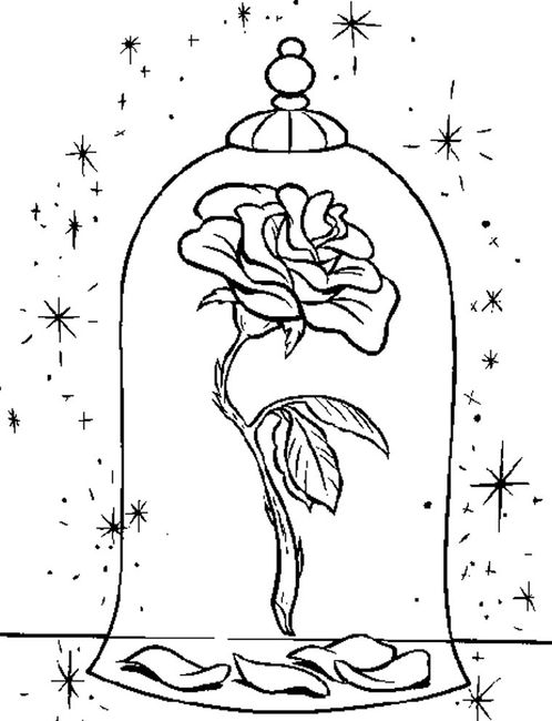 Ricerca immagini per partecipazioni 4