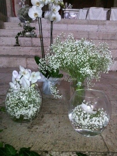 Fiori matrimonio:  Myosotis (non ti scordar di me) 1