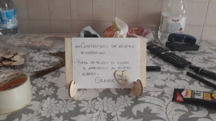 Mi fate vedere il vostro fai da te ? - 2