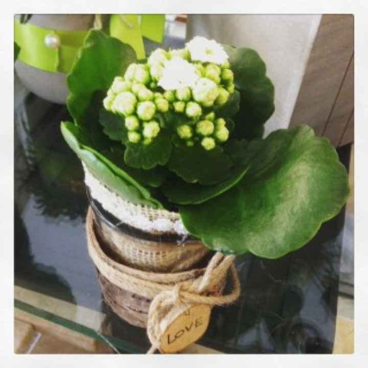 Centrotavola con kalanchoe - 2