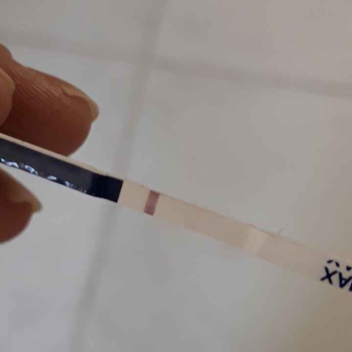 pma 2021...chi come me aspetta con ansia il nuovo anno? - 1