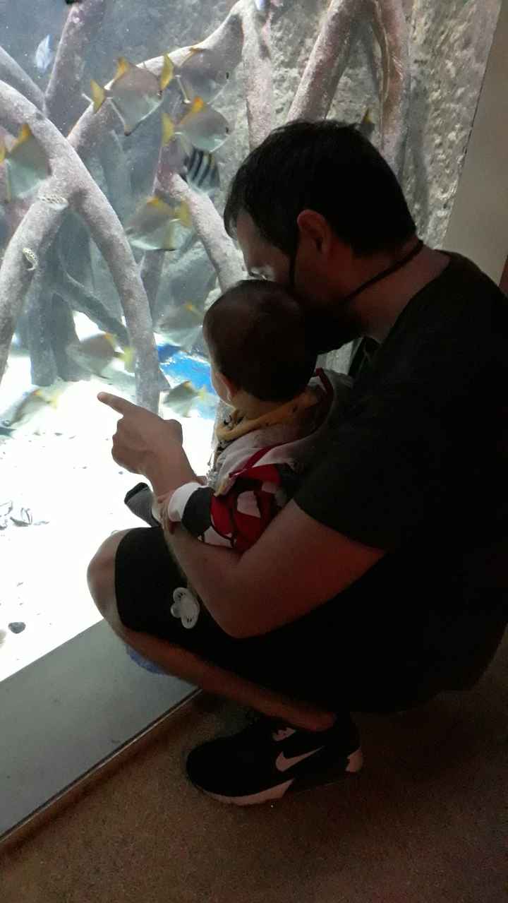 Future mamme novembre 2020 🌞🍁🌷♾ - 1