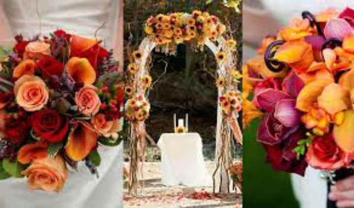 Matrimonio autunnale - 7