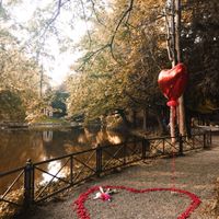 Anello e proposta - 1