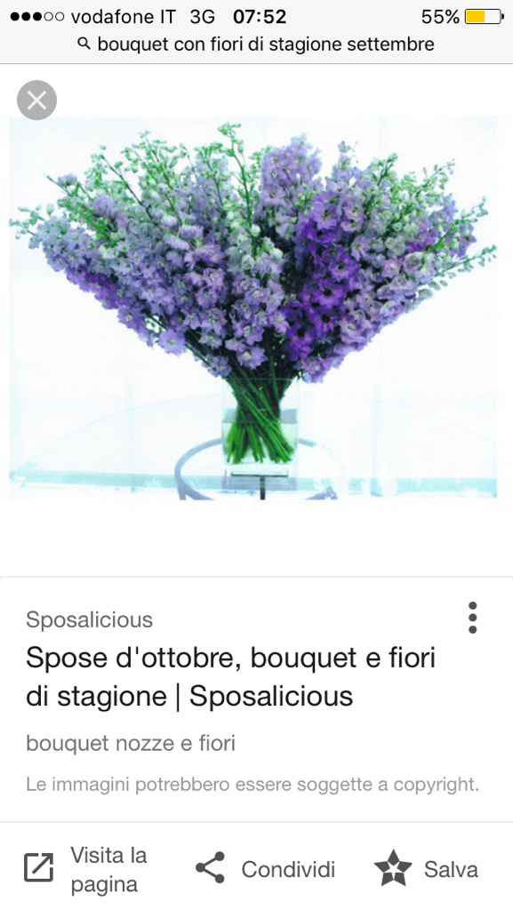 Ragazze quale vi piace? - 4
