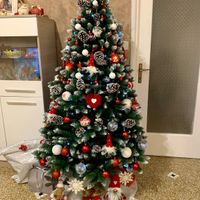 Avete mai fatto l'albero insieme? - 1