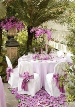 C) decorazioni sedie