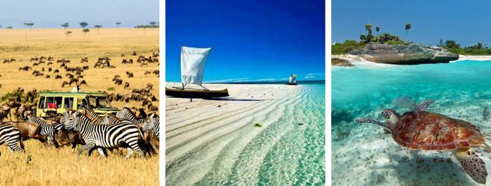               Ottobre                                   Novembre                                   D