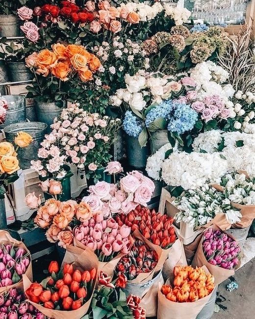 Quale fiore non mancherà nel tuo bouquet? 💐 1
