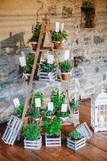 🌿 matrimonio tema: erbe aromatiche