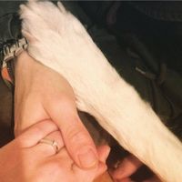 La foto del vostro anello! - 1