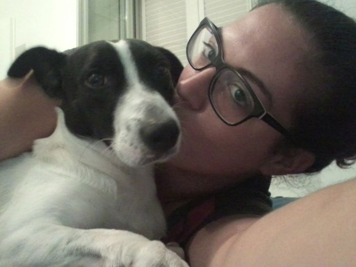 Too cute: i vostri amici animali - 0