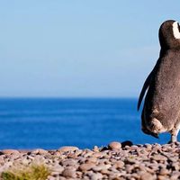 Viaggio di nozze - 1