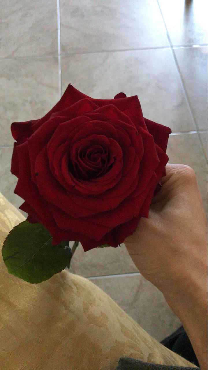 Red Naomi rosa per il mio bouquet!!🥰❤️🌹 - 1