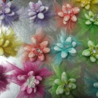  Ragazzeee mi urge un consiglio 😂😂 - 1