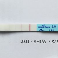 Chi non le aspetta per novembre 2019 - 2