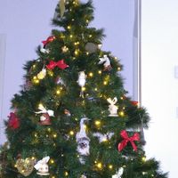 Avete mai fatto l'albero insieme? - 1