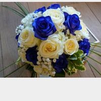 Scelta del colore!!! aiutoooo - 2