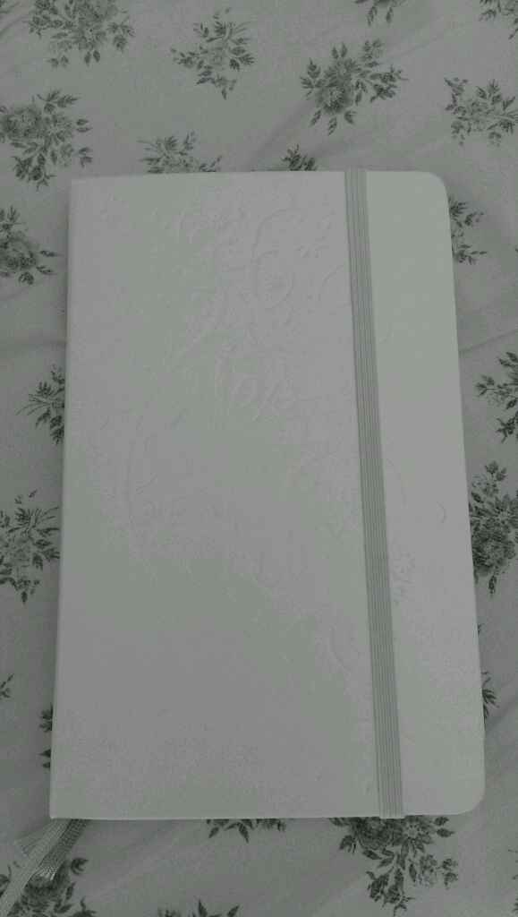 Ho preso anch'io la moleskine per l'organizzazione del matrimonio!! - 1