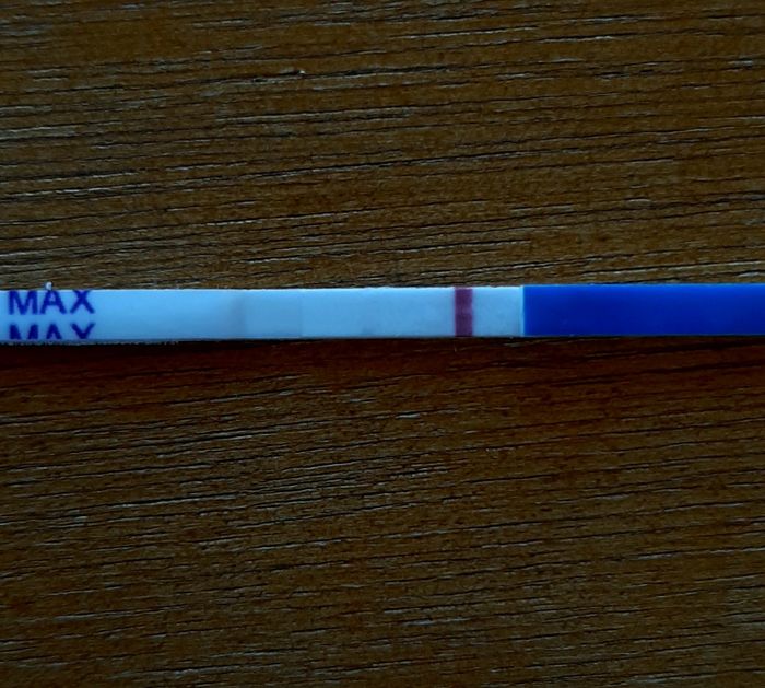 Chi non le aspetta per settembre 2020 🍀🐞🤞🌈🌻🎁🏖️🌞💝 - 1