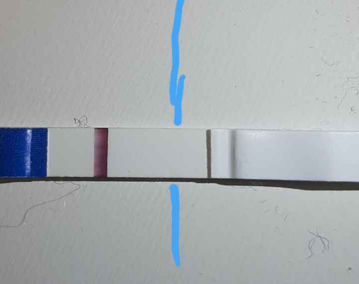 Chi non le aspetta per gennaio 2020 - 1